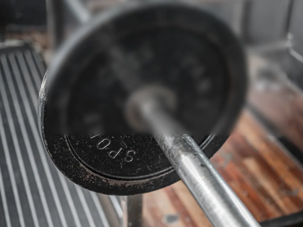 A barbell sleeve and plate, close