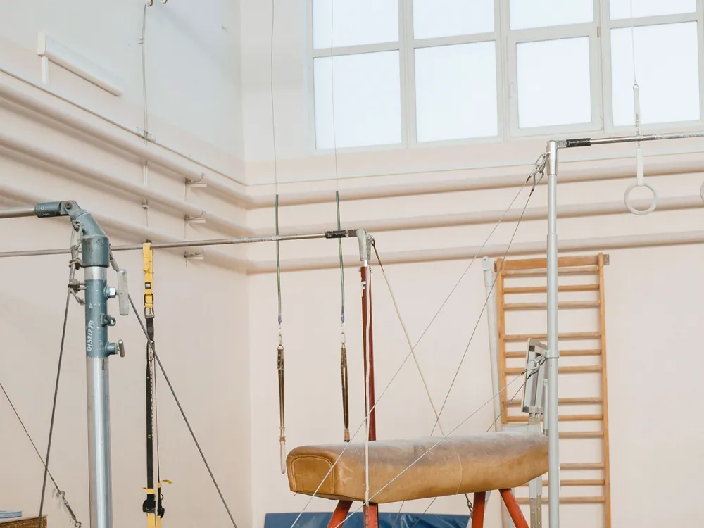 Wall bars and hanging rings