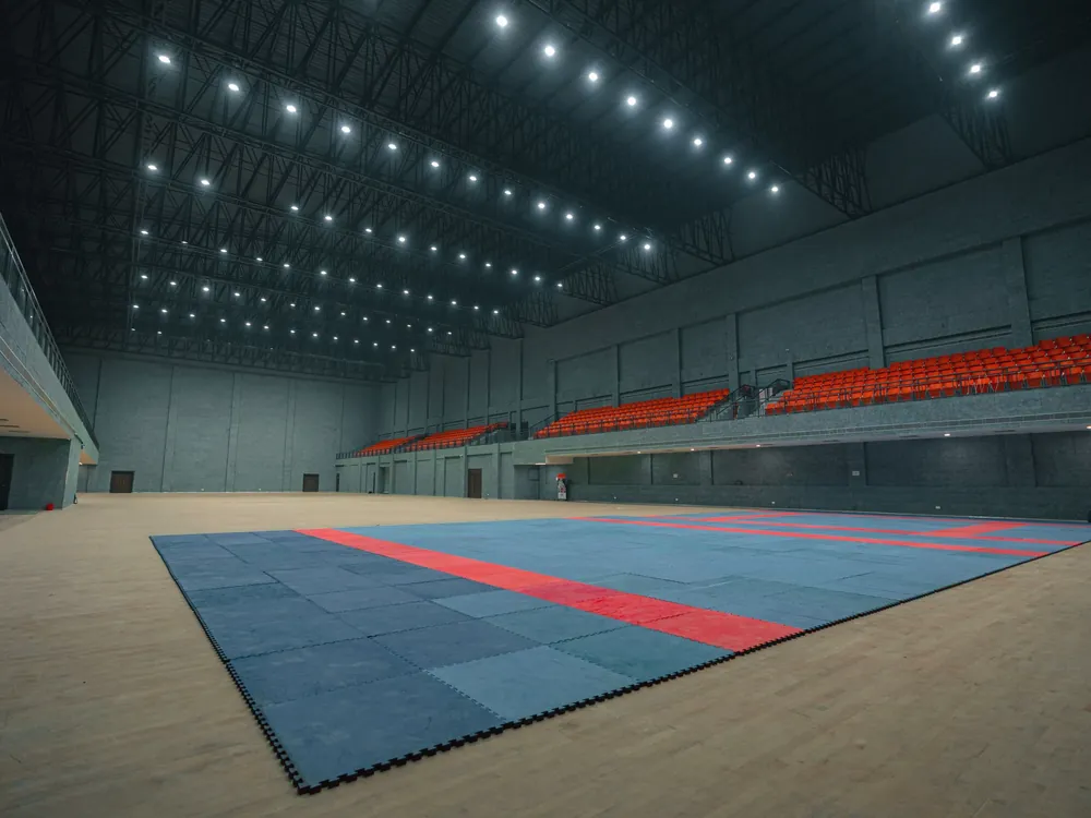 A sprung mat on a wooden hall floor
