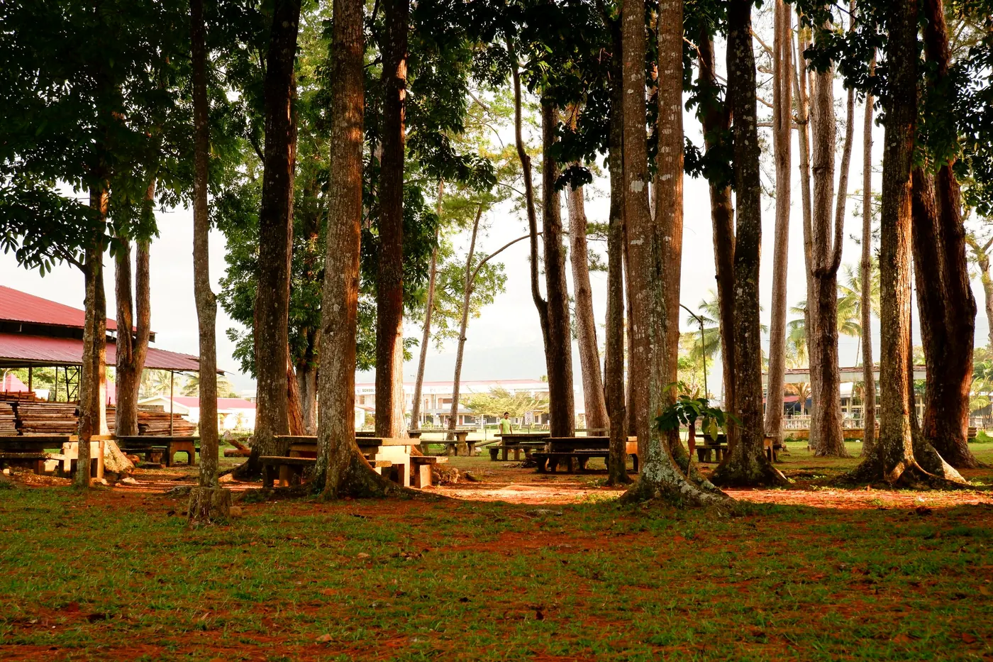 Empty picnic benches and tables under trees
